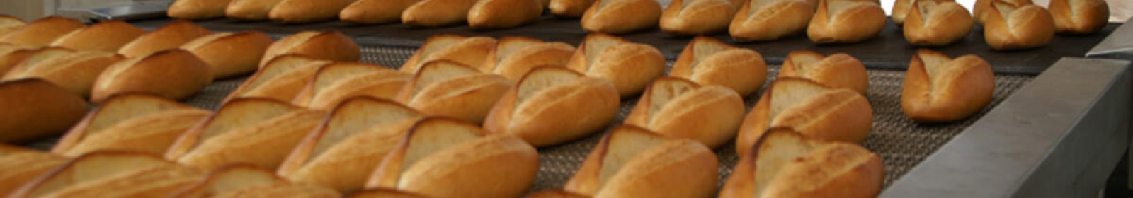 Zeytinburnu Böcek İlaçlama