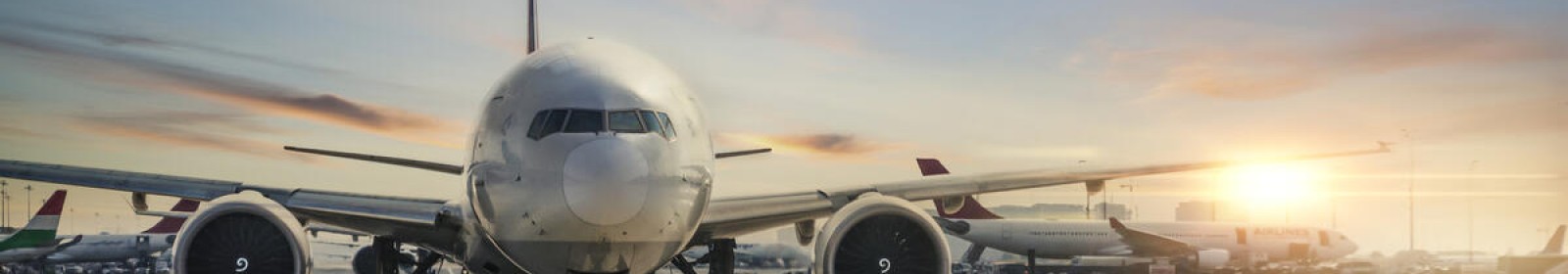 Zeytinburnu Böcek İlaçlama